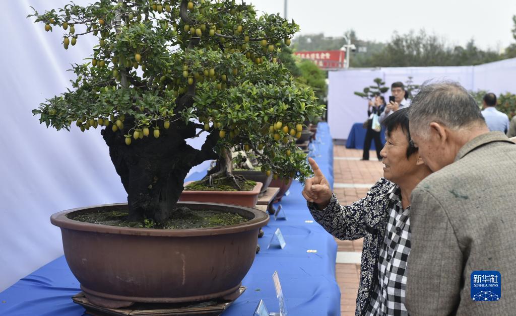 电脑怎么下载申博